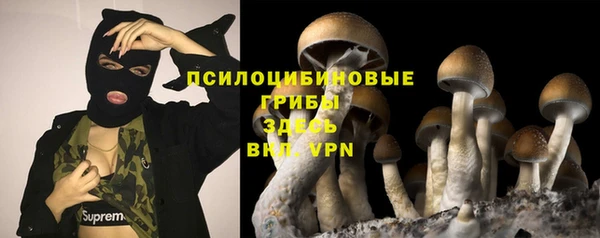 прущие крисы Баксан